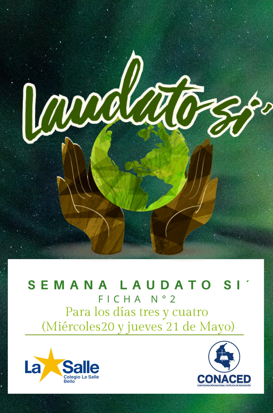 Rosa Día de la Madre Historia Instagram 2