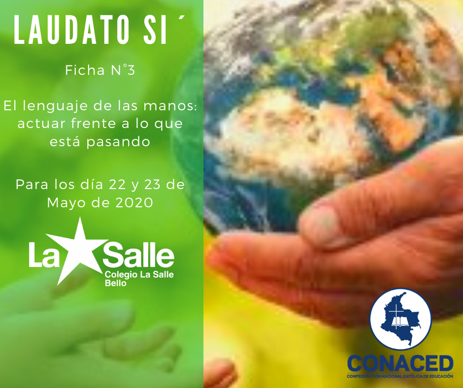 Verde Blanco Bol de Almuerzo iPhone Publicación de Facebook